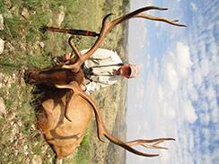 Free Range Elk Hunting 