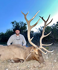 Texas Elk Hunting Photo